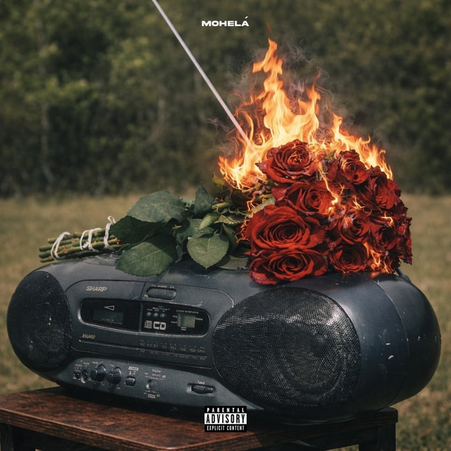 undefined album image