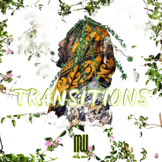Transitions cover art