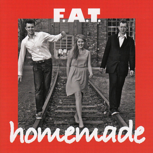 Homemade cover