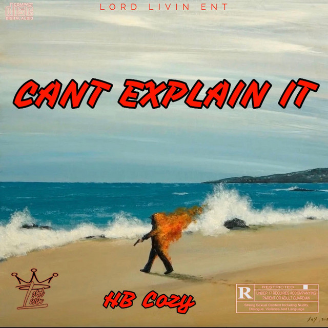 CANT EXPLAIN IT cover art