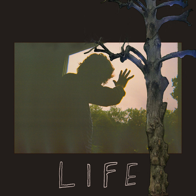 Life cover