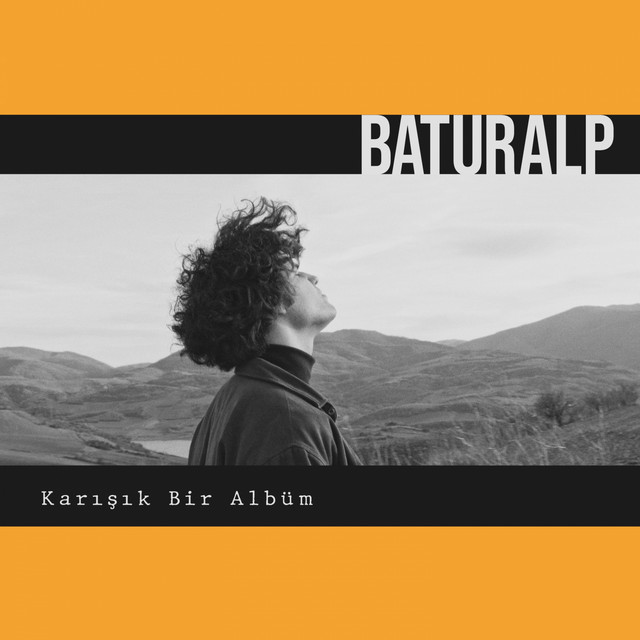 Karışık Bir Albüm cover art