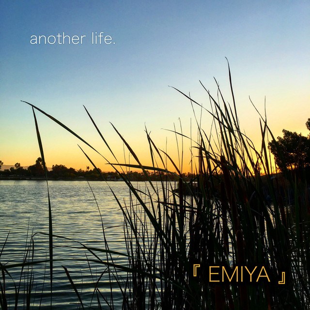 Another Life cover