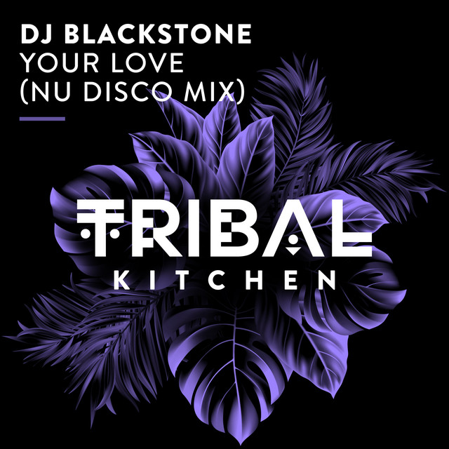Your Love - Nu Disco Extended Mix album art