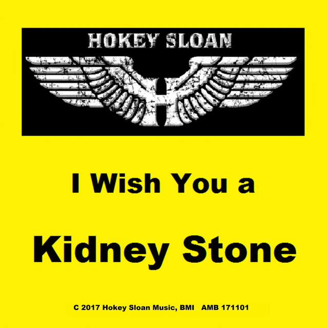 I Wish You a Kidney Stone cover