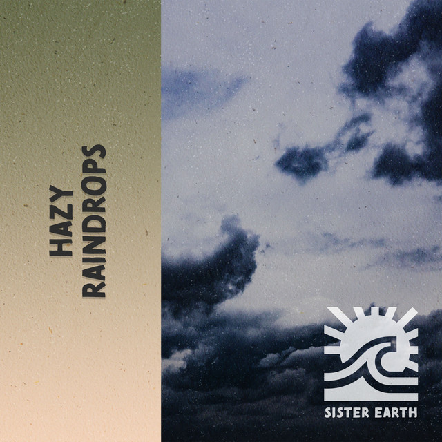 Hazy Raindrops: Rain Recordings from the Forest cover art