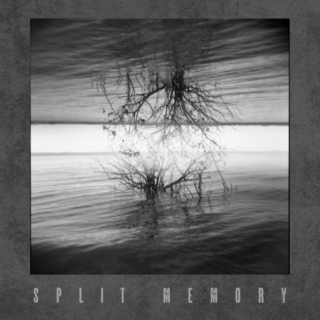 Split Memory cover
