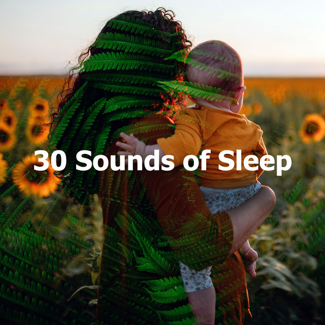 30 Sounds of Sleep - Album by Sounds of Nature White Noise for Baby ...