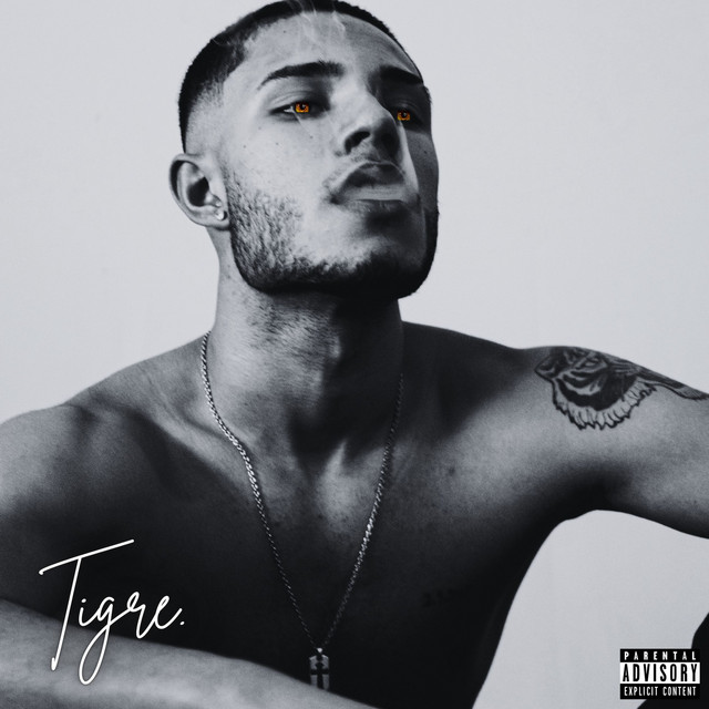 Tigre cover art