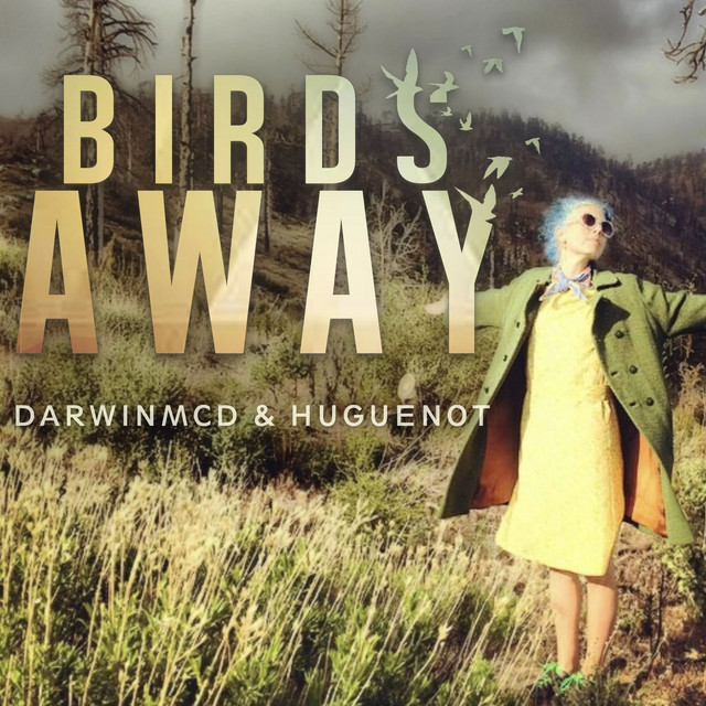 Birds Away cover