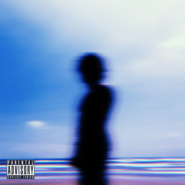 Summer Canvas cover art