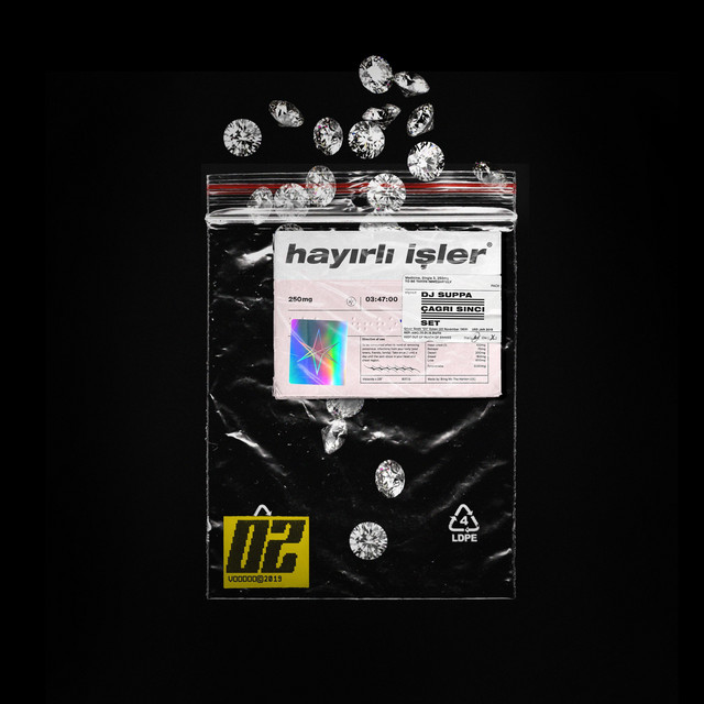 Cover of Hayırlı İşler by Set