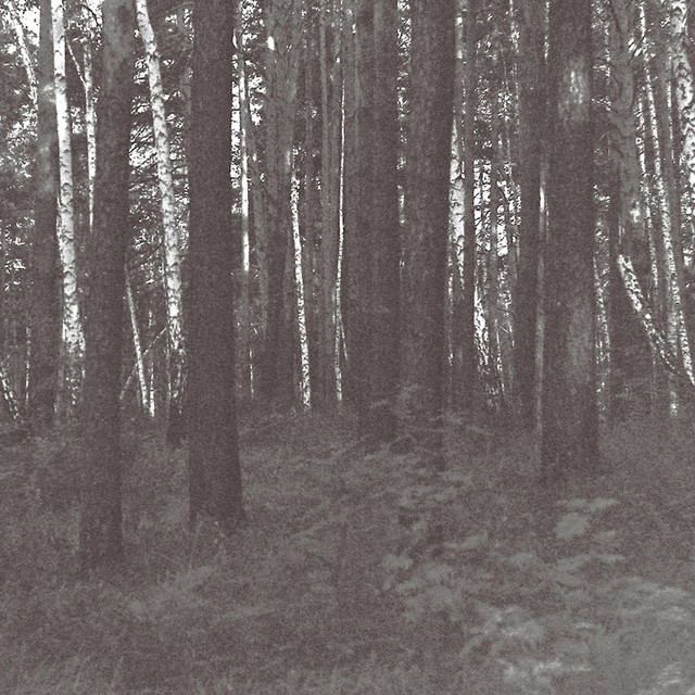 Symbolic seclusion cover
