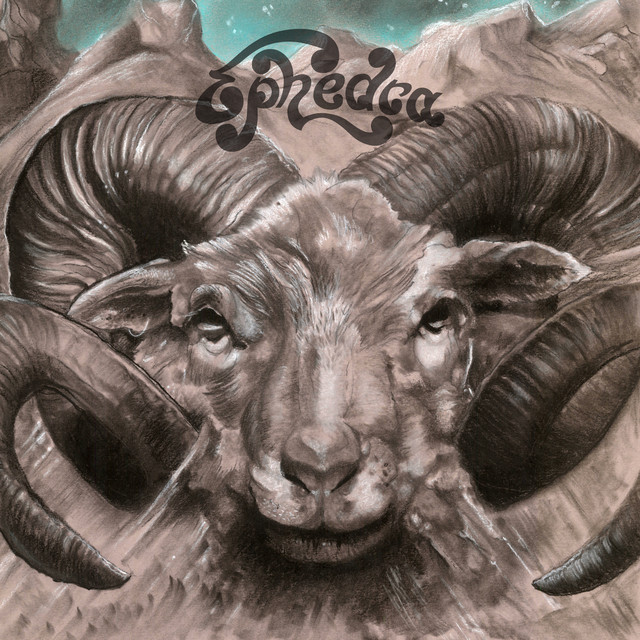 Sheep Shanonen cover art