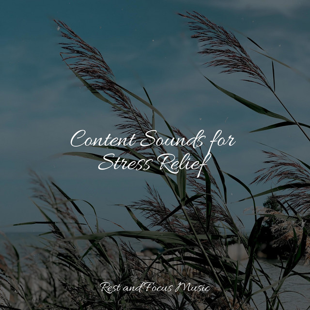 Content Sounds for Stress Relief cover art