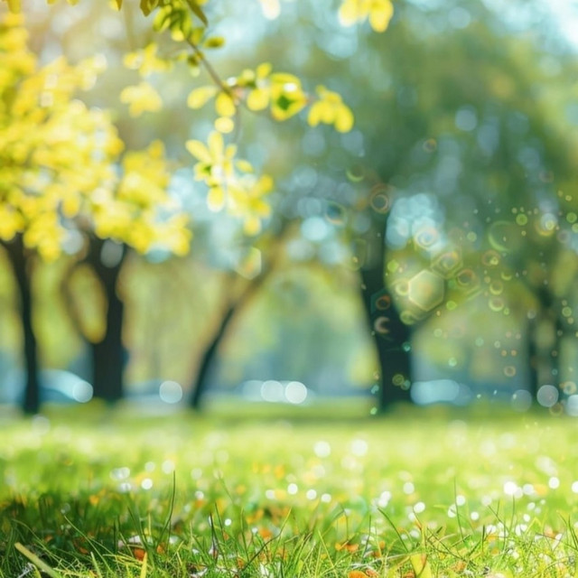 멜론 음악 이미지