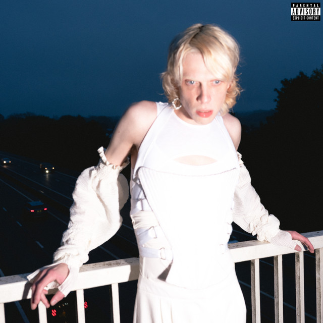 VISIONS OF HEREAFTER (II) cover art
