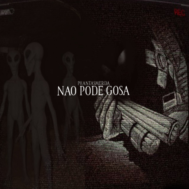 NAO PODE GOSA cover art