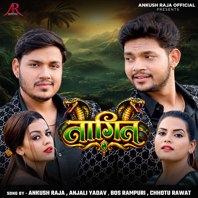 Nagin album image