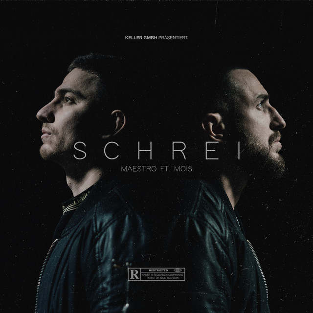 SCHREI (feat. Mois) cover