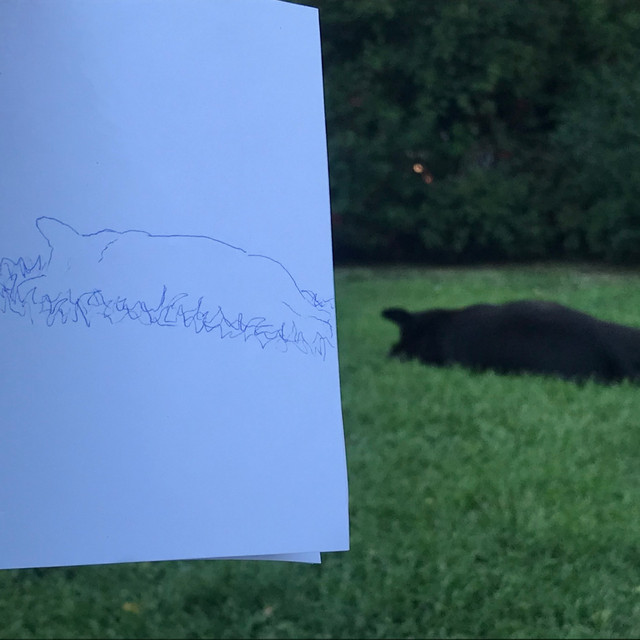 derp cover art