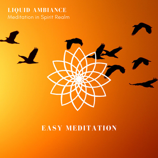 Meditation In Spirit Realm cover art