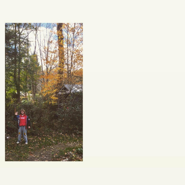 Covered in Wildflowers (a Beautiful Scene.) cover art