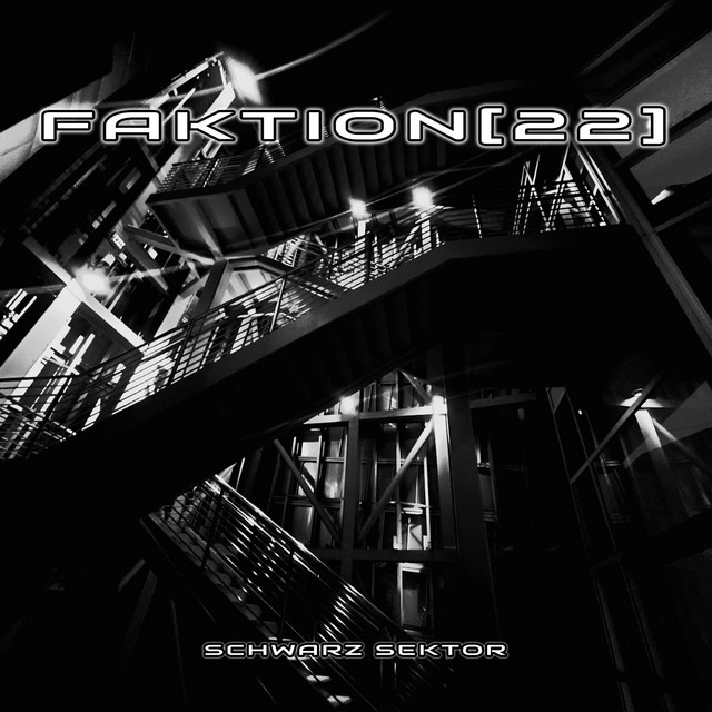 Schwarz Sektor cover art