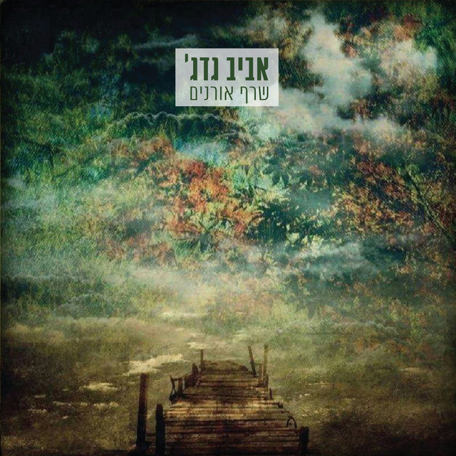שרף אורנים cover
