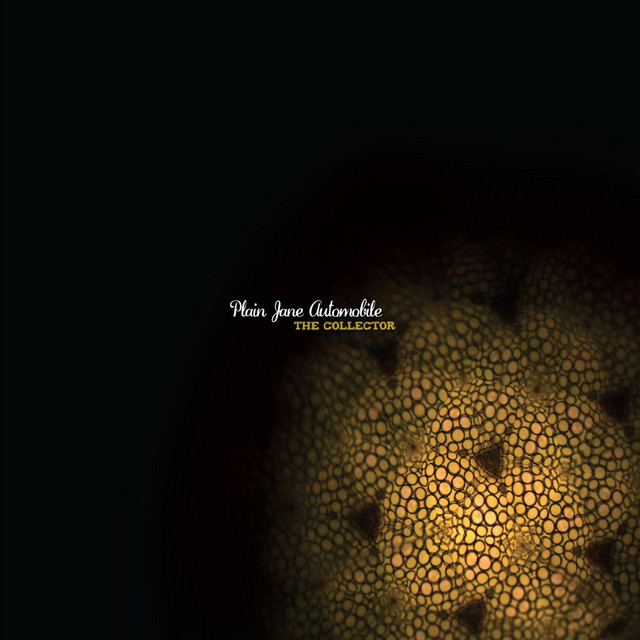 The Collector cover art
