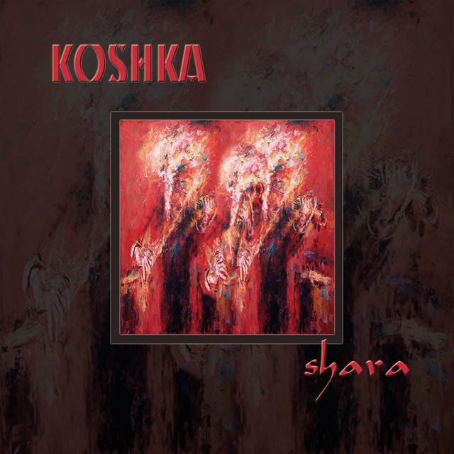 Koshka Photo