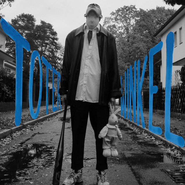 Toter Winkel cover art