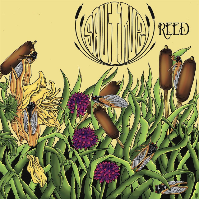 Reed: Chapter One cover art