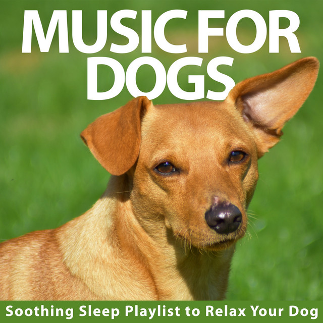 Music For Dogs: Soothing Sleep Playlist to Relax Your Dog cover art