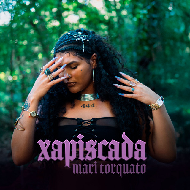 Xapiscada