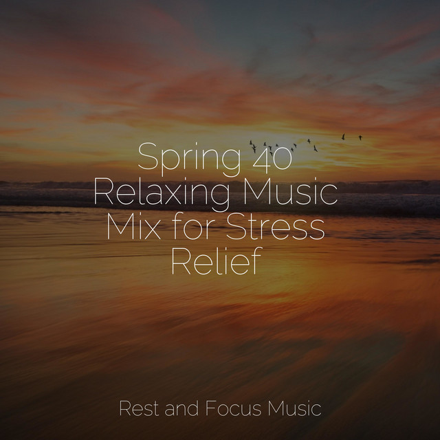 Spring 40 Relaxing Music Mix for Stress Relief - Album by Deep Sleep ...