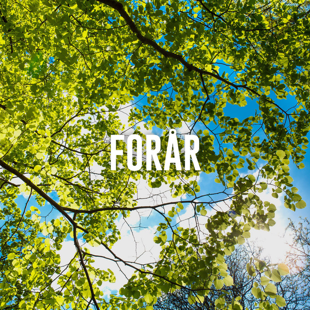 Forårshygge - Hyggelig musik til afslapning - Hyggelige sange til gode tider cover art