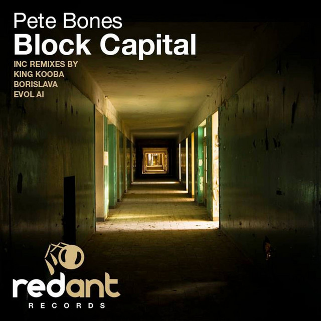 Block Capital - Evol Ai Remix cover art