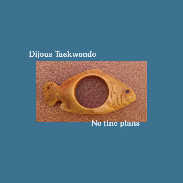 No tinc plans cover art