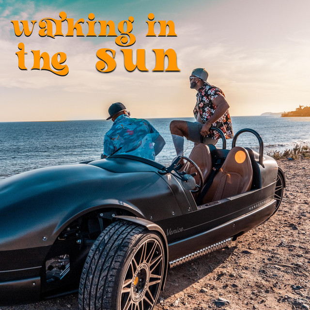 Walking In The Sun cover