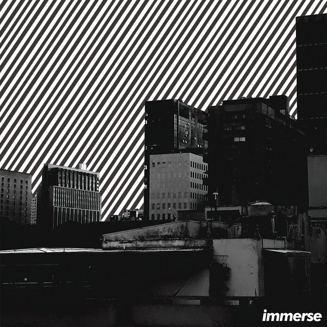Immerse cover art
