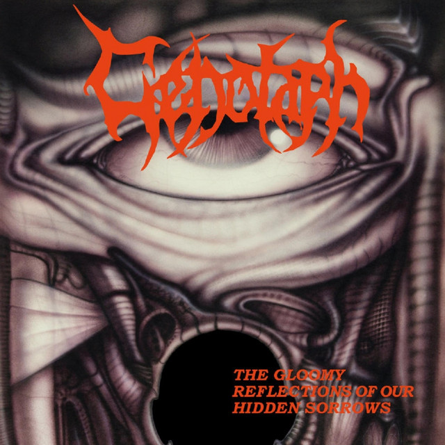 The Gloomy Reflection of Our Hidden Sorrows cover art