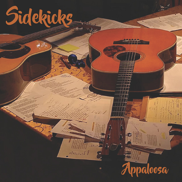 Sidekicks cover art