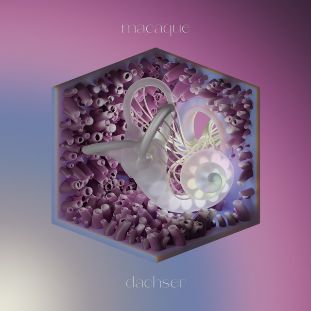Dachser cover