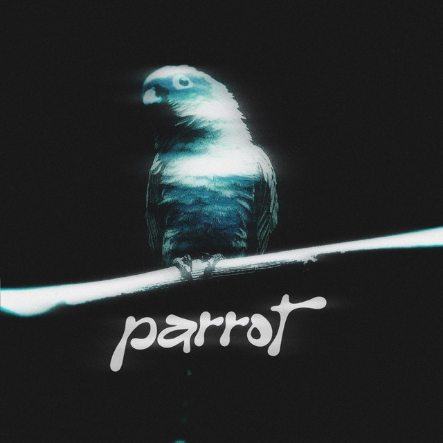parrot