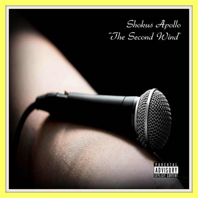 Successor - song and lyrics by Shokus Apollo | Spotify