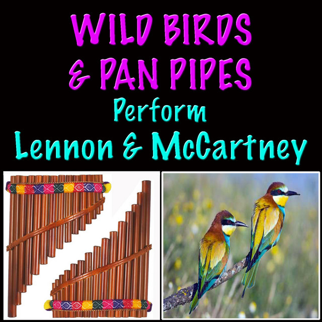 Wild Birds & Pan Pipes Perform Lennon & McCartney cover art