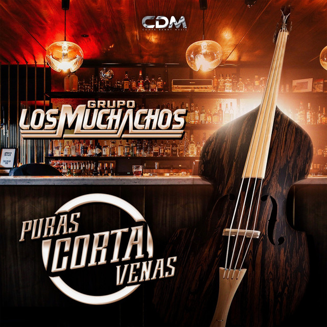 Puras Corta Venas cover art