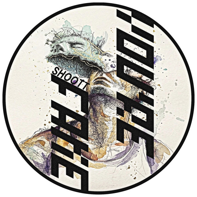 You're Fake album art