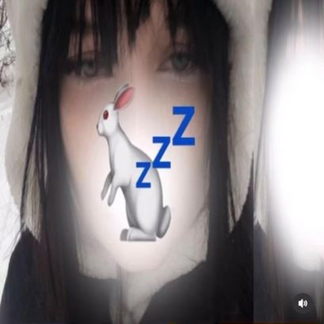 Sleeping Rabbits cover art